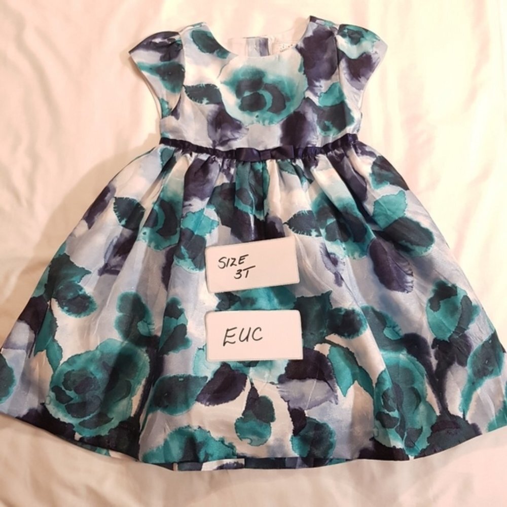 Gymboree Blue and Green Floral Dress